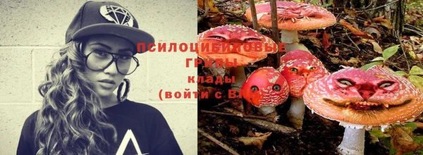 амф Абаза