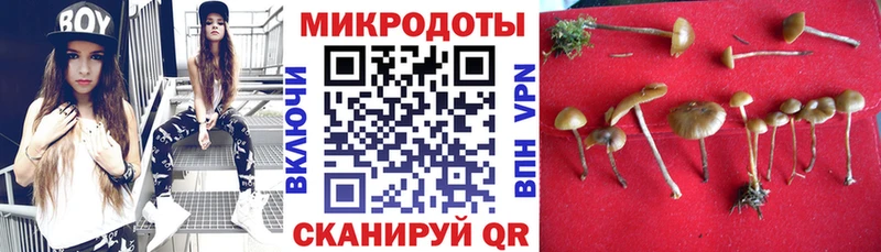 Галлюциногенные грибы ЛСД  Менделеевск 